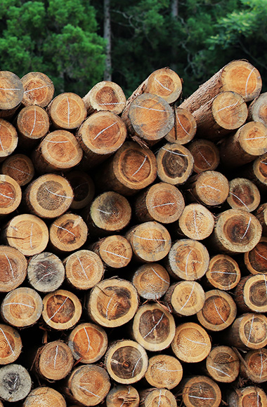 日本で一番、木材の良さを伝えられる材木屋になる。